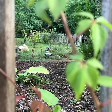 Hanne Mit Garten Thale