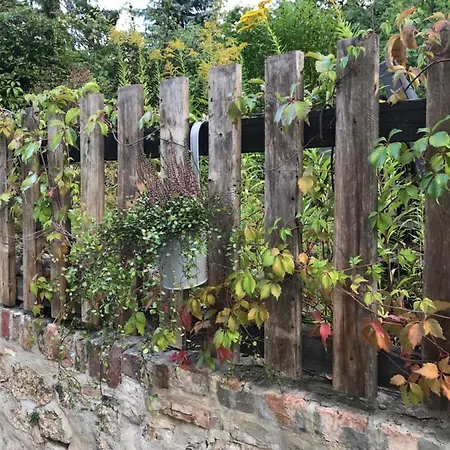 Hanne Mit Garten Thale