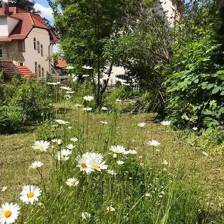 Apartament Hanne Mit Garten