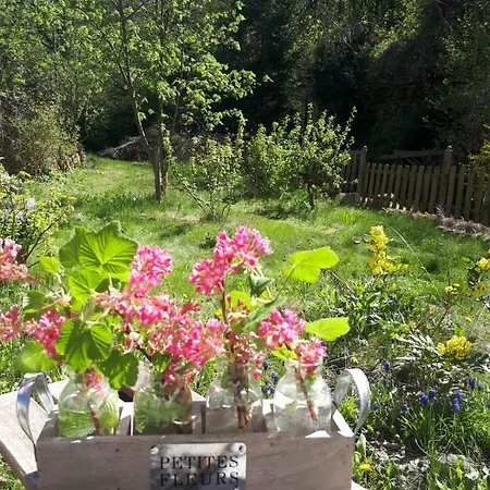 Hanne Mit Garten