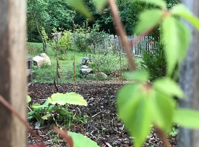 Hanne Mit Garten Thale