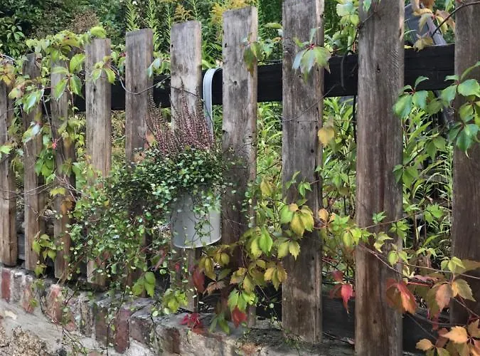 Hanne Mit Garten Thale