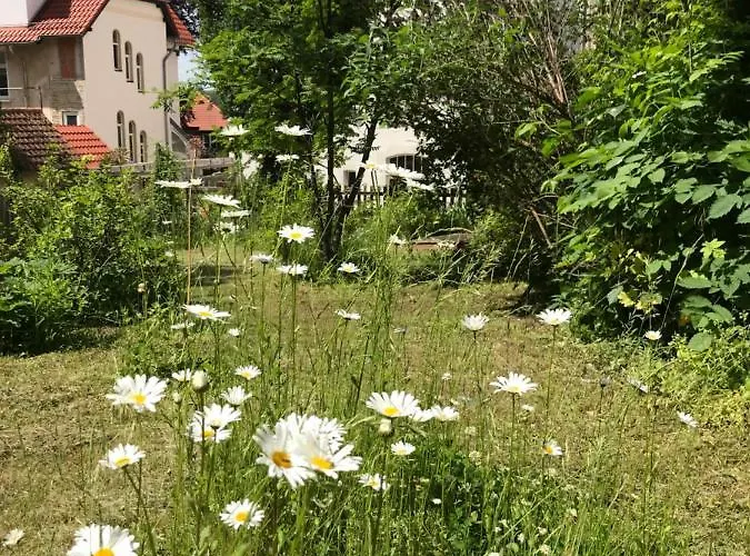 公寓 Hanne Mit Garten